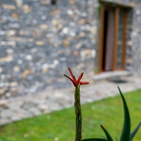 Collina E Mare Villa Camogli Exterior foto