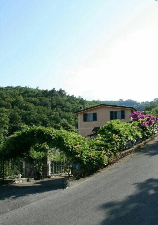 Collina E Mare Villa Camogli Exterior foto